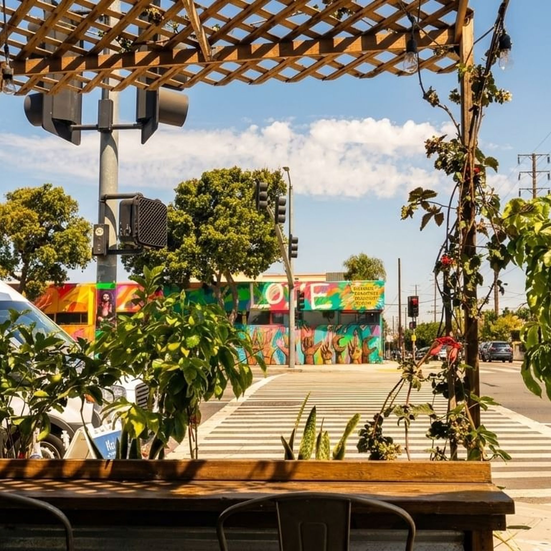 Rooted in Mar Vista
