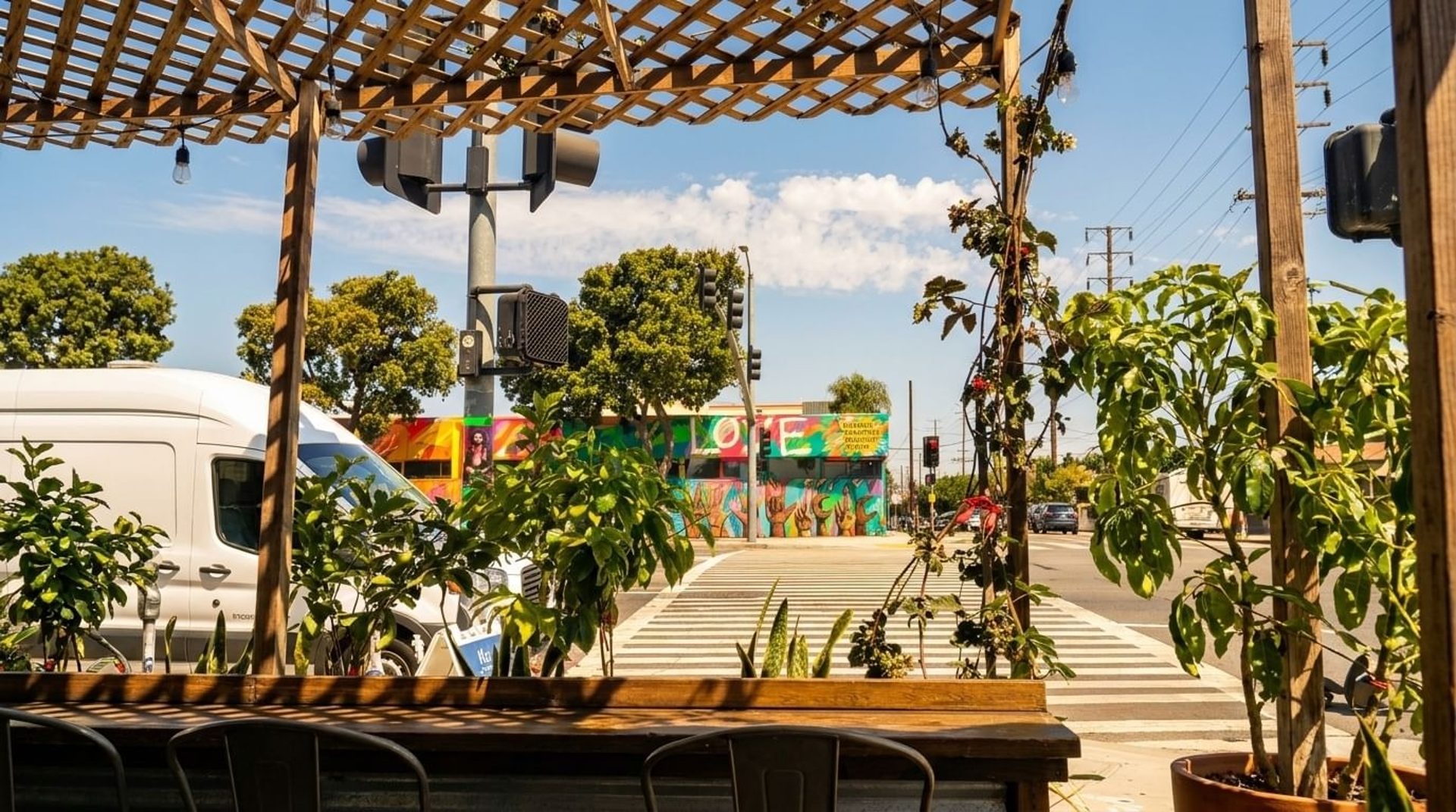 Rooted in Mar Vista